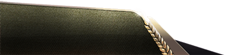 footer-left